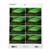 バンデッドオーロラ ラベル (フルシート)