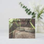 バンデッドピットビパースネーク ポストカード (スタンド正面)