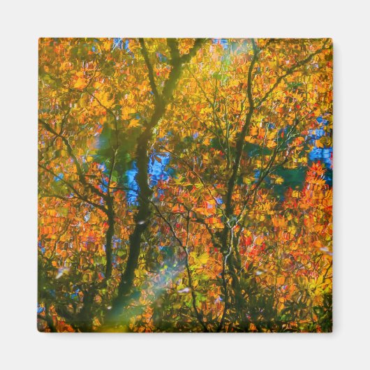 バンデュセンボタニカルガーデンバンクーバー,カナダ マグネット (正面)