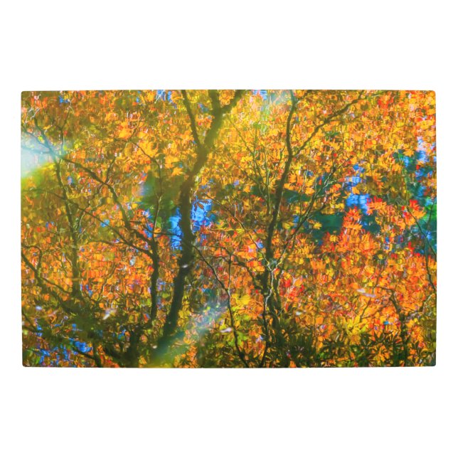 バンデュセンボタニカルガーデンバンクーバー，カナダ メタルプリント (正面)