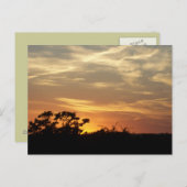 バンデラテキサス州サンセットポストカード ポストカード (正面/裏面)