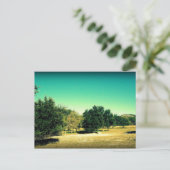 バンデラ美しいテキサス州葉書#2 ポストカード (スタンド正面)