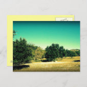 バンデラ美しいテキサス州葉書#2 ポストカード (正面/裏面)