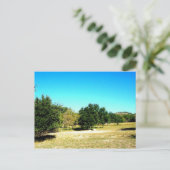 バンデラ テキサス州の美しさ ポストカード (スタンド正面)