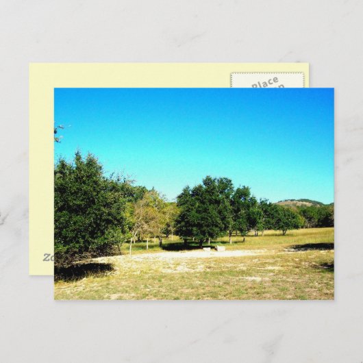 バンデラ テキサス州の美しさ ポストカード (正面/裏面)