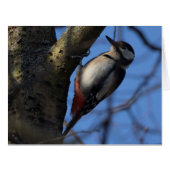 バントスペクト (正面横)