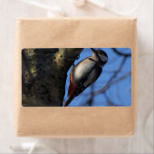 バントスペクト ラベル (インサイチュ)