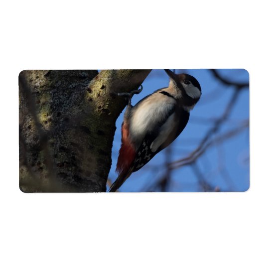 バントスペクト ラベル (正面)