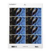 バントスペクト ラベル (フルシート)