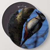 バントスペクト 缶バッジ (正面&裏面)