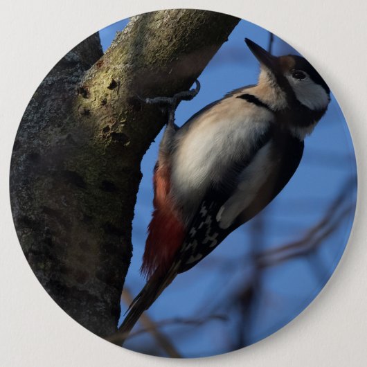 バントスペクト 缶バッジ (正面)