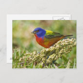 バント絵を描ング ポストカード (正面/裏面)