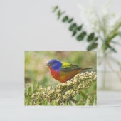 バント絵を描ング ポストカード (スタンド正面)