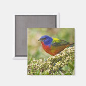 バント絵を描ング マグネット (正面/裏面)