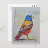 バント色彩の鮮やかカード ポストカード (正面/裏面)