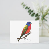 バント色彩の鮮やかング ポストカード (スタンド正面)