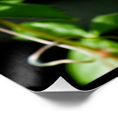 バント色彩の鮮やかング。非常に鮮やか鳥。 ポスター (コーナー)