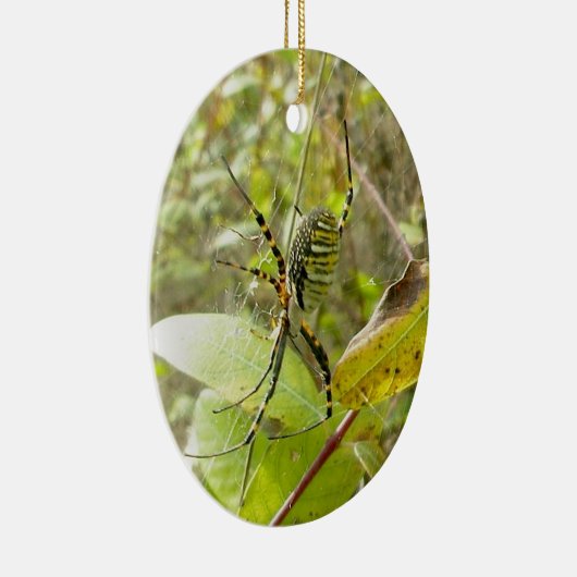 バンドを付けられたArgiopeのくものクリスマスのオーナメント セラミックオーナメント (右)