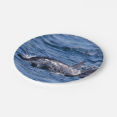 バンドウイルカの群れ ペーパープレート (アングル)