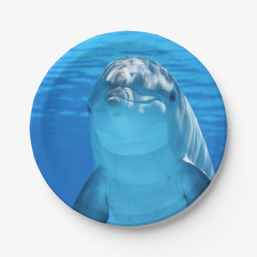 バンドウイルカは水の下でカメラを見ます ペーパープレート (正面)