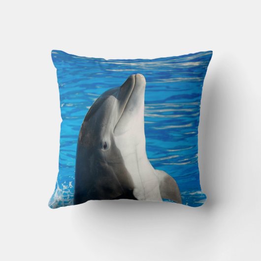 バンドウイルカ クッション (裏面)