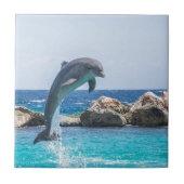 バンドウイルカ タイル (正面)