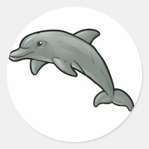 バンドウイルカ ラウンドシール