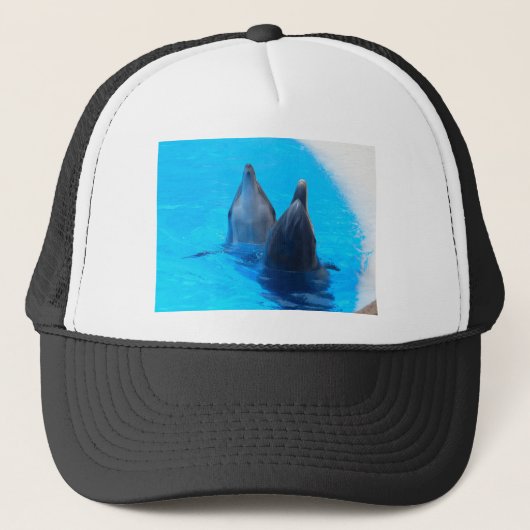 バンドウイルカ 魚 海洋 水中 キャップ (正面)