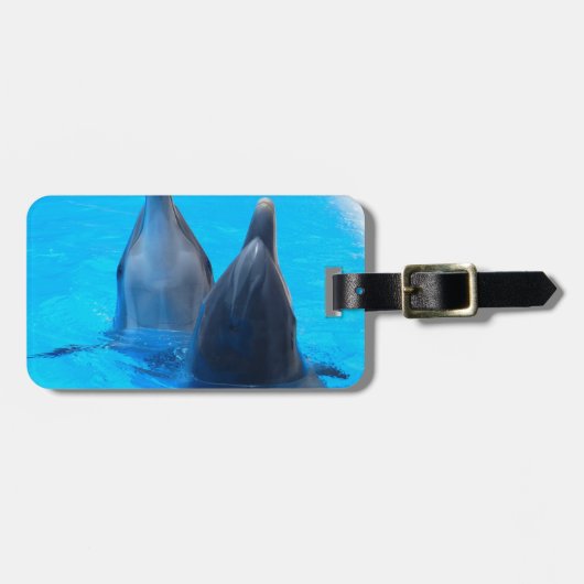 バンドウイルカ 魚 海 水中 ラゲッジタグ (正面横)
