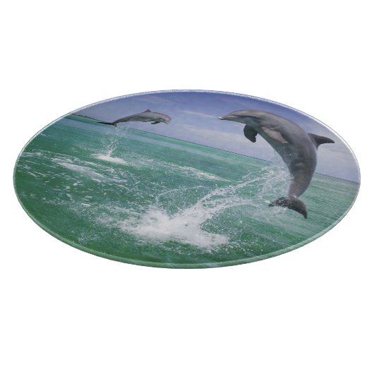 バンドウイルカ Tursiops truncatus カッティングボード (角)