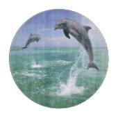 バンドウイルカ Tursiops truncatus カッティングボード (正面)
