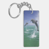 バンドウイルカ Tursiops truncatus キーホルダー (正面左)