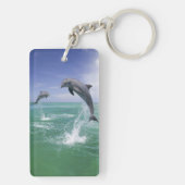 バンドウイルカ Tursiops truncatus キーホルダー (裏面)