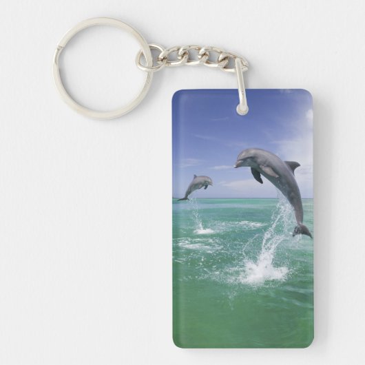 バンドウイルカ Tursiops truncatus キーホルダー (正面)