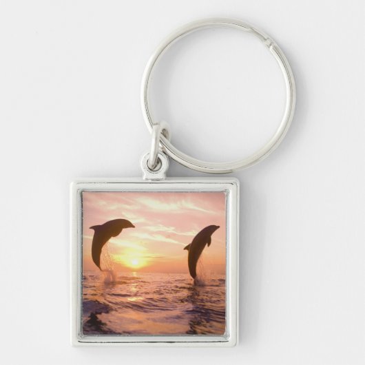 バンドウイルカ Tursiops truncatus キーホルダー (正面)