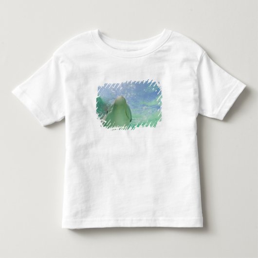 バンドウイルカ(Tursiops truncatus) トドラーTシャツ (正面)