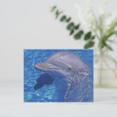 バンドウイルカ, Tursiops truncatus ポストカード (スタンド正面)