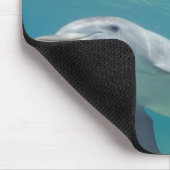 バンドウイルカ Tursiops truncatus マウスパッド (コーナー)