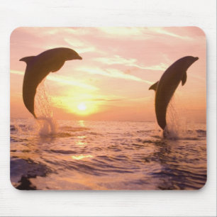 バンドウイルカ Tursiops truncatus マウスパッド