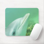バンドウイルカ Tursiops truncatus マウスパッド (マウス)