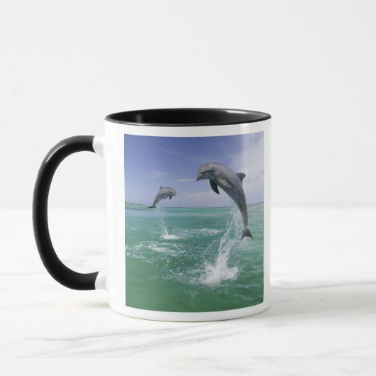バンドウイルカ Tursiops truncatus マグカップ (左)