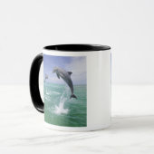 バンドウイルカ Tursiops truncatus マグカップ (正面左)