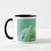 バンドウイルカ Tursiops truncatus マグカップ (左)