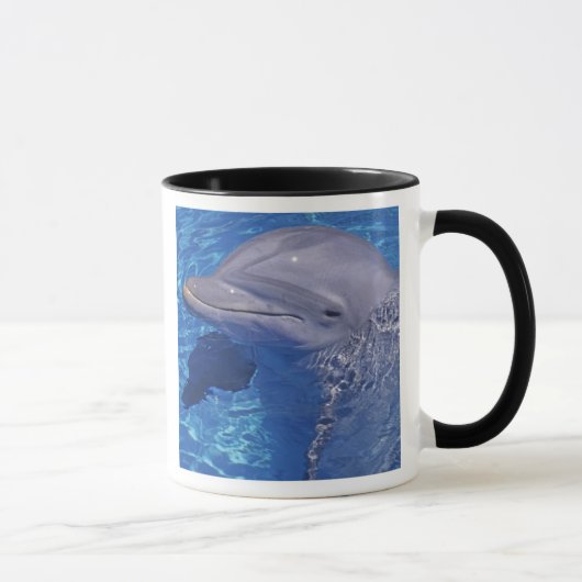 バンドウイルカ, Tursiops Truncatus マグカップ (右)