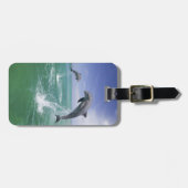 バンドウイルカ Tursiops truncatus ラゲッジタグ (正面横)