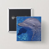 バンドウイルカ, Tursiops Truncatus 缶バッジ (正面&裏面)