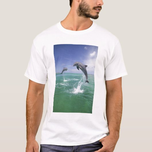 バンドウイルカ Tursiops truncatus Tシャツ (正面)