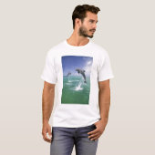 バンドウイルカ Tursiops truncatus Tシャツ (正面フル)