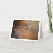 バンドオービットスパイダー カード (正面)