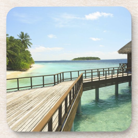 バンドスアイランドリゾートノースオスアトールザ2 コースター (正面)